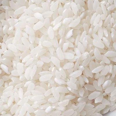 best rice sorter machine in india